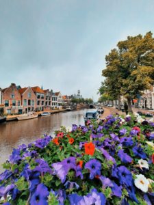 Dokkum-heeft-het-allemaal